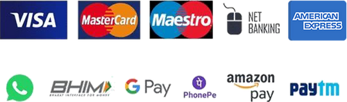 Logos of various payment methods including Visa, MasterCard, Maestro, Net Banking, American Express, BHIM, Google Pay, PhonePe, Amazon Pay, and Paytm on a white background.